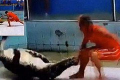 Un crocodile joue un sale tour à son dompteur (vidéo)